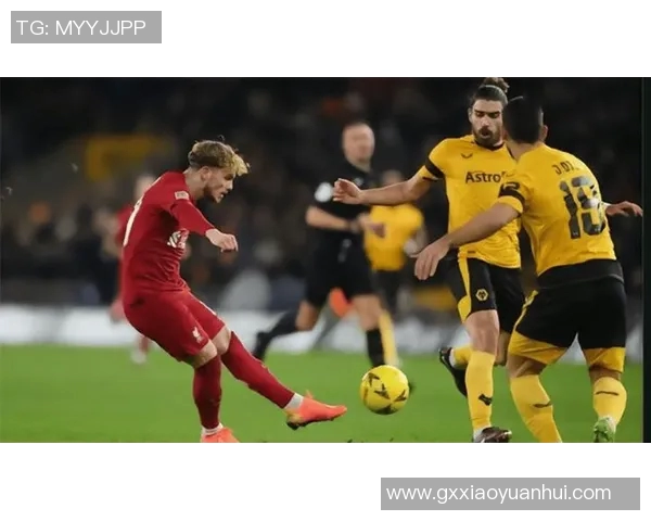 狼队与利物浦对决分析及胜负推荐一览